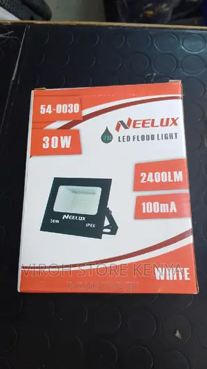 Neelux 30 Watts AC Floodlight IP66 2400lumens Security Light
