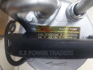 Maxpolar Submersible Water Pump 1hp