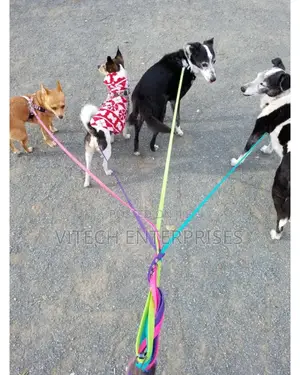 Durable Nylon Dog Leash for Training Walking Lead for Small