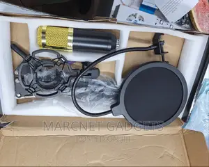 Studio Condenser Microphone Set - Filter , Stand,