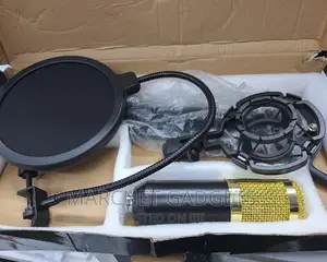 Studio Condenser Microphone Set - Filter , Stand,