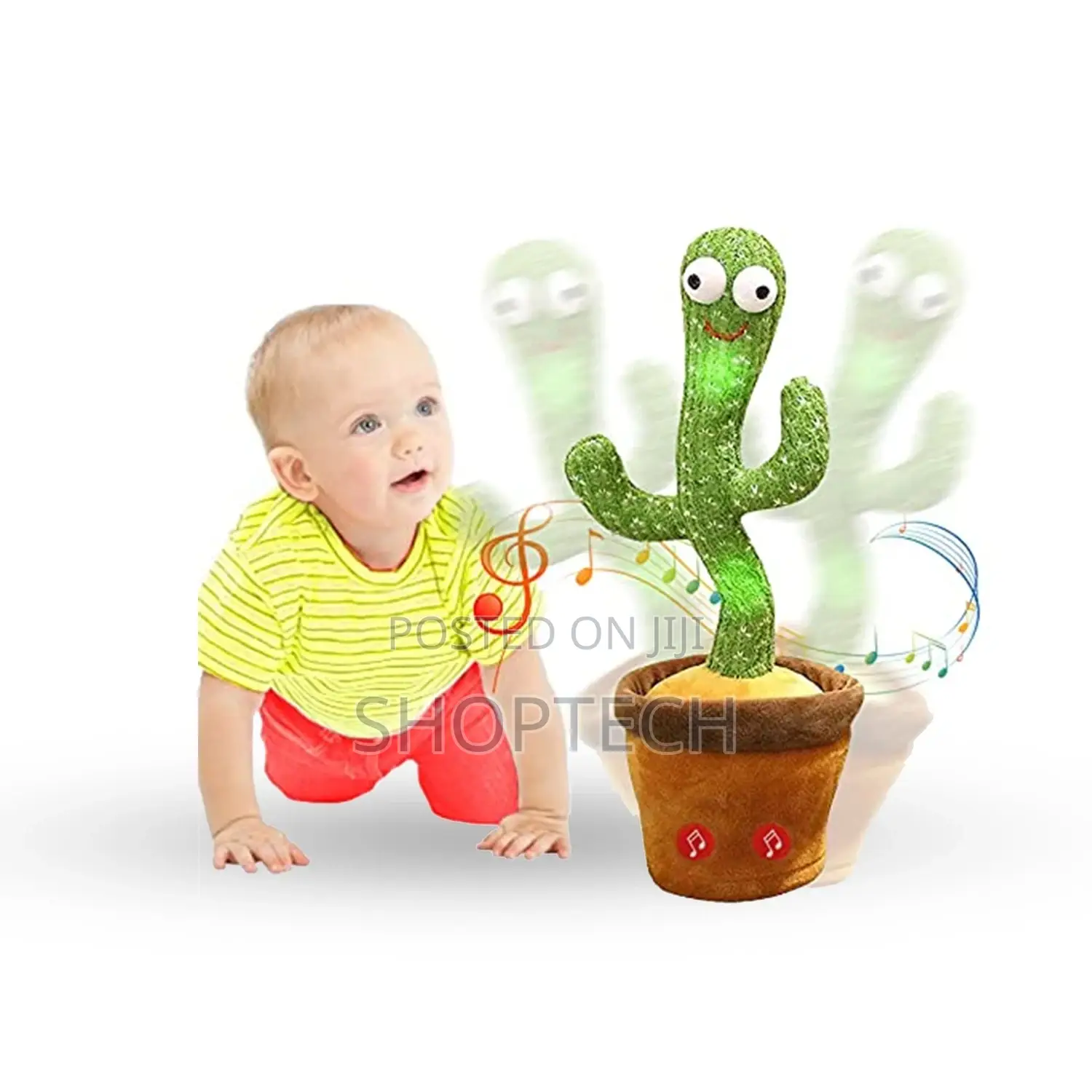Dancing Cactus! Dancing Cactus