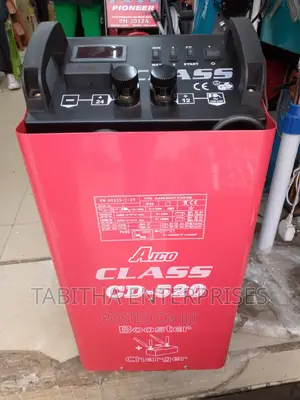Commercial Battery Charger 