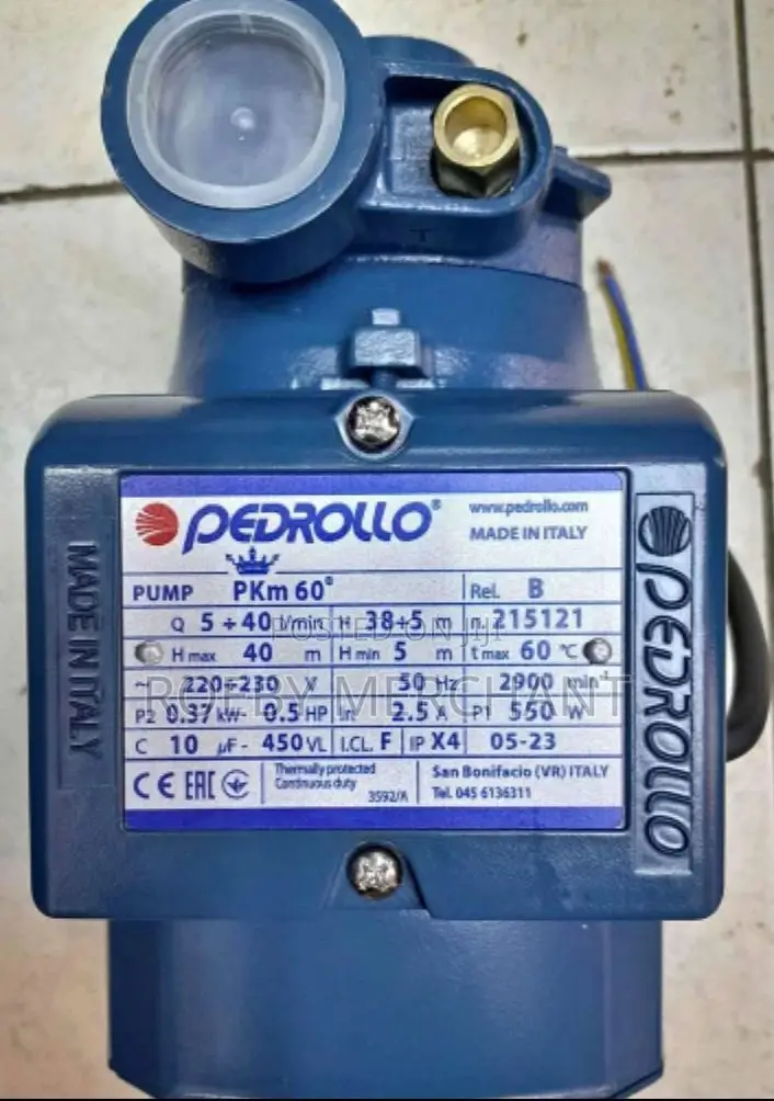 Pedrollo Water Pump