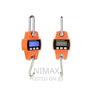 300kgs Industrial Crane Digital Weighing Scale