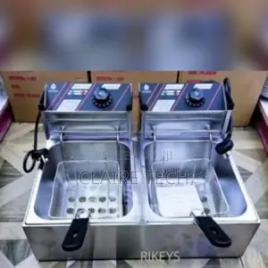 Silver Commercial Double Deep Fyer