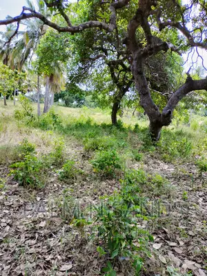 Mvindeni 12 Acre Property on Sale