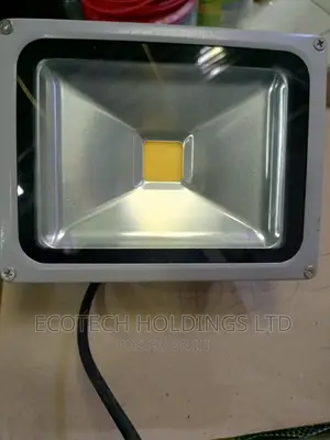 Offer on 20wts Warm White Security Light.