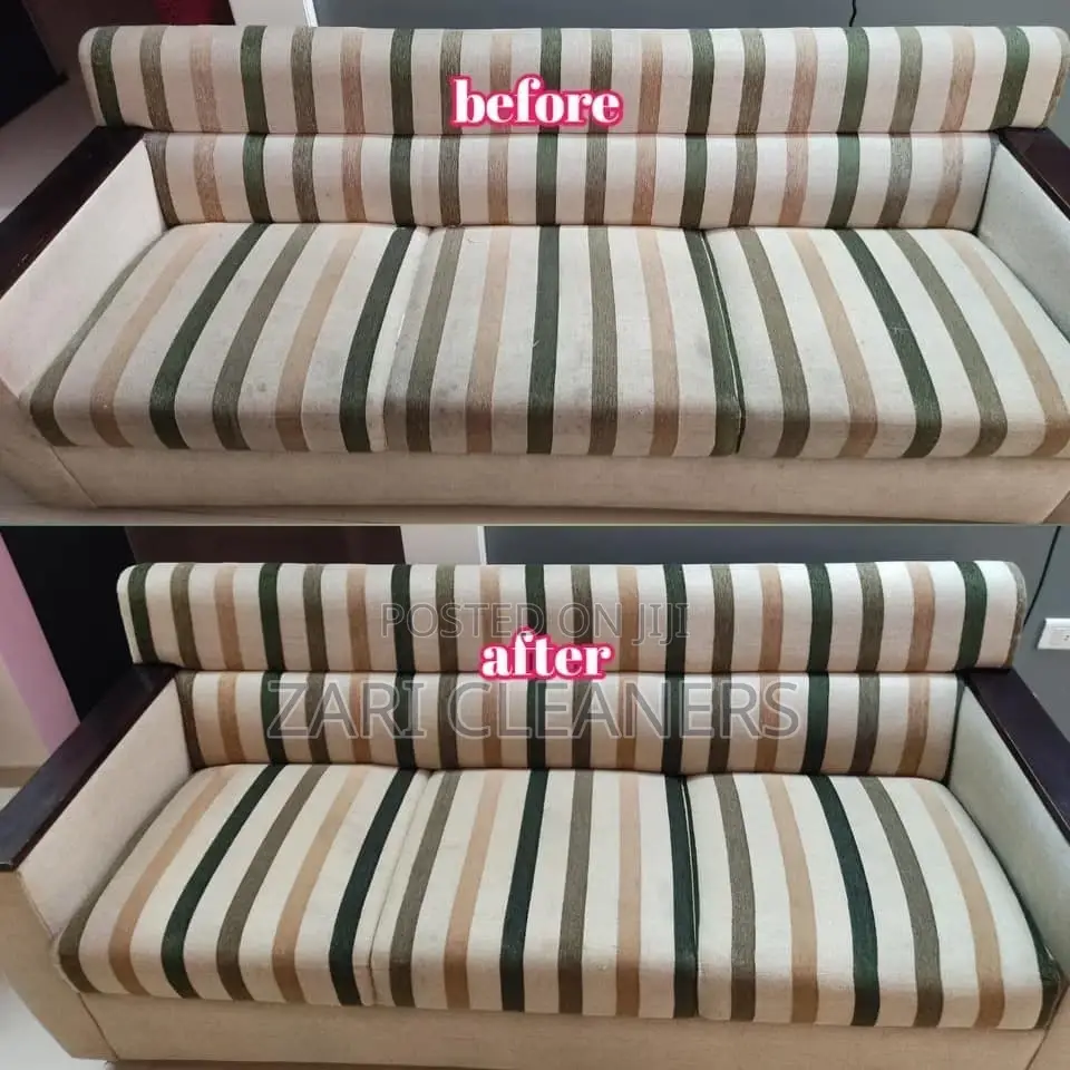 Apartment Couch and Sofa Cleaning