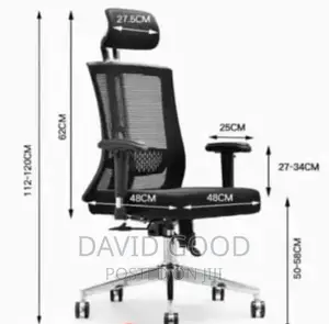 Othropedic Office Chair