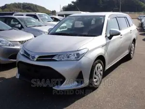 Toyota Corolla Fielder 2018 Silver