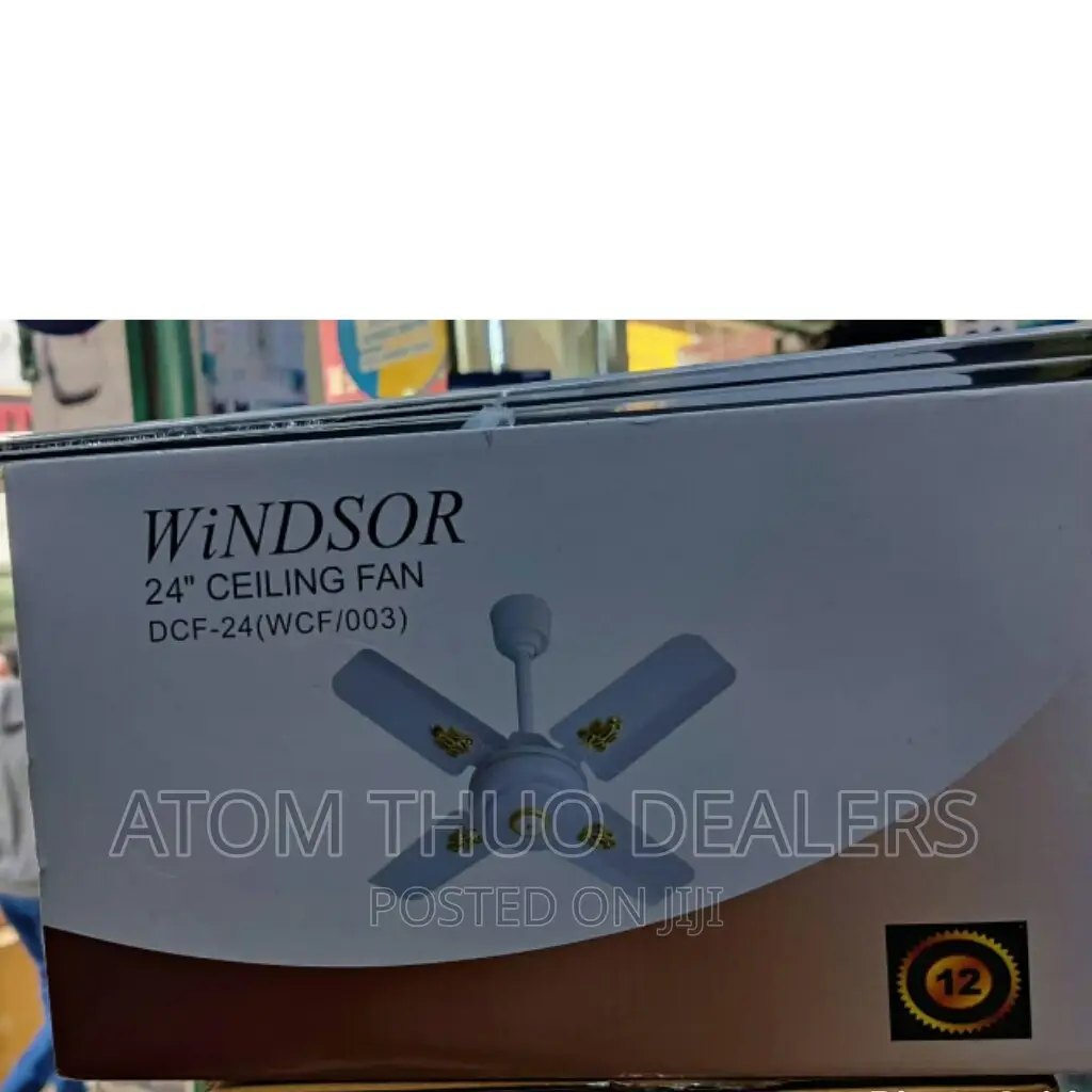 Windsor Ceiling Fan 24 Inches