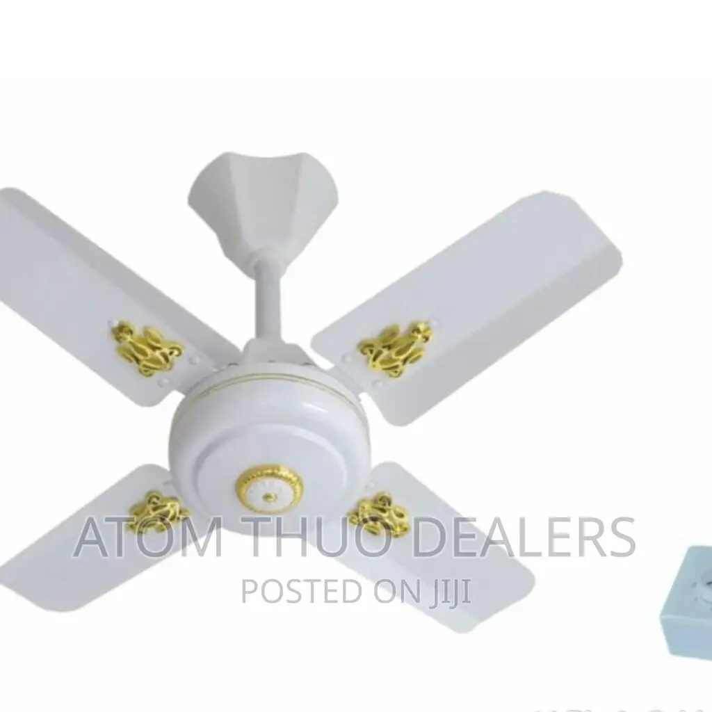 Windsor Ceiling Fan 24 Inches