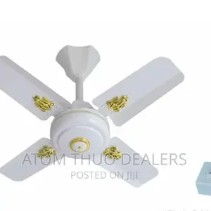 Windsor Ceiling Fan 24 Inches