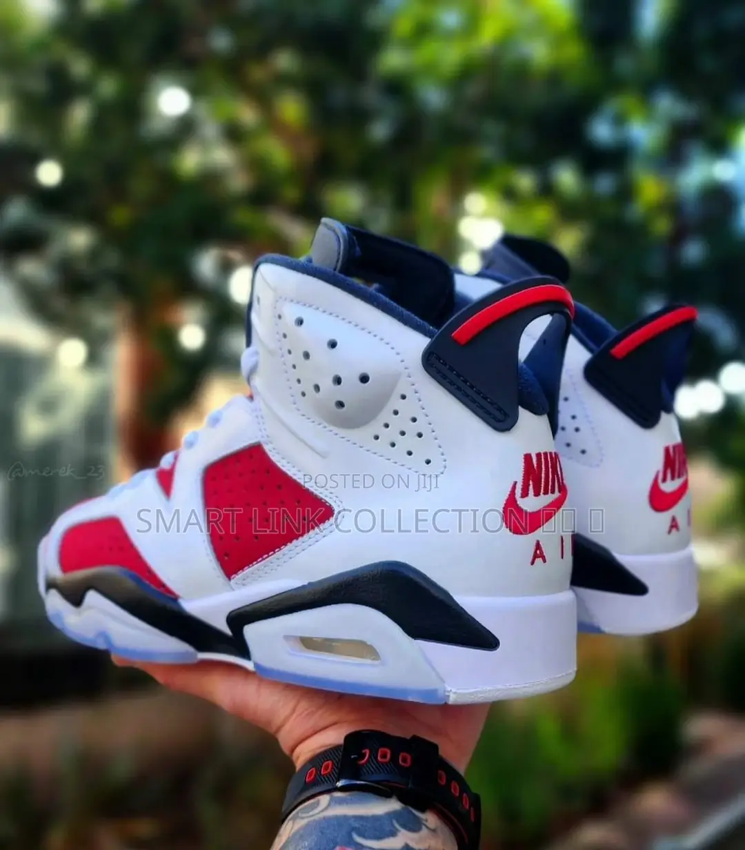 Air Jordan 6