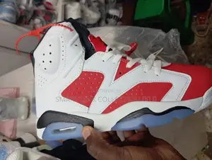 Air Jordan 6