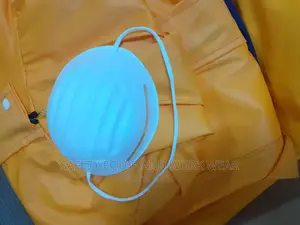 Porcupine Disposable Dust Mask( 50 Pcs Packet)