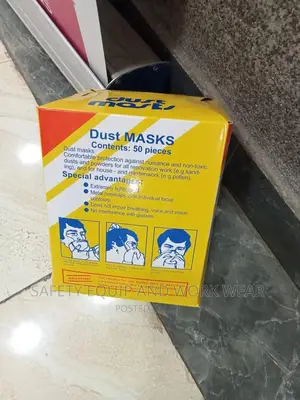 Disposable Dust Mask