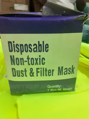 Disposable Filter Mask