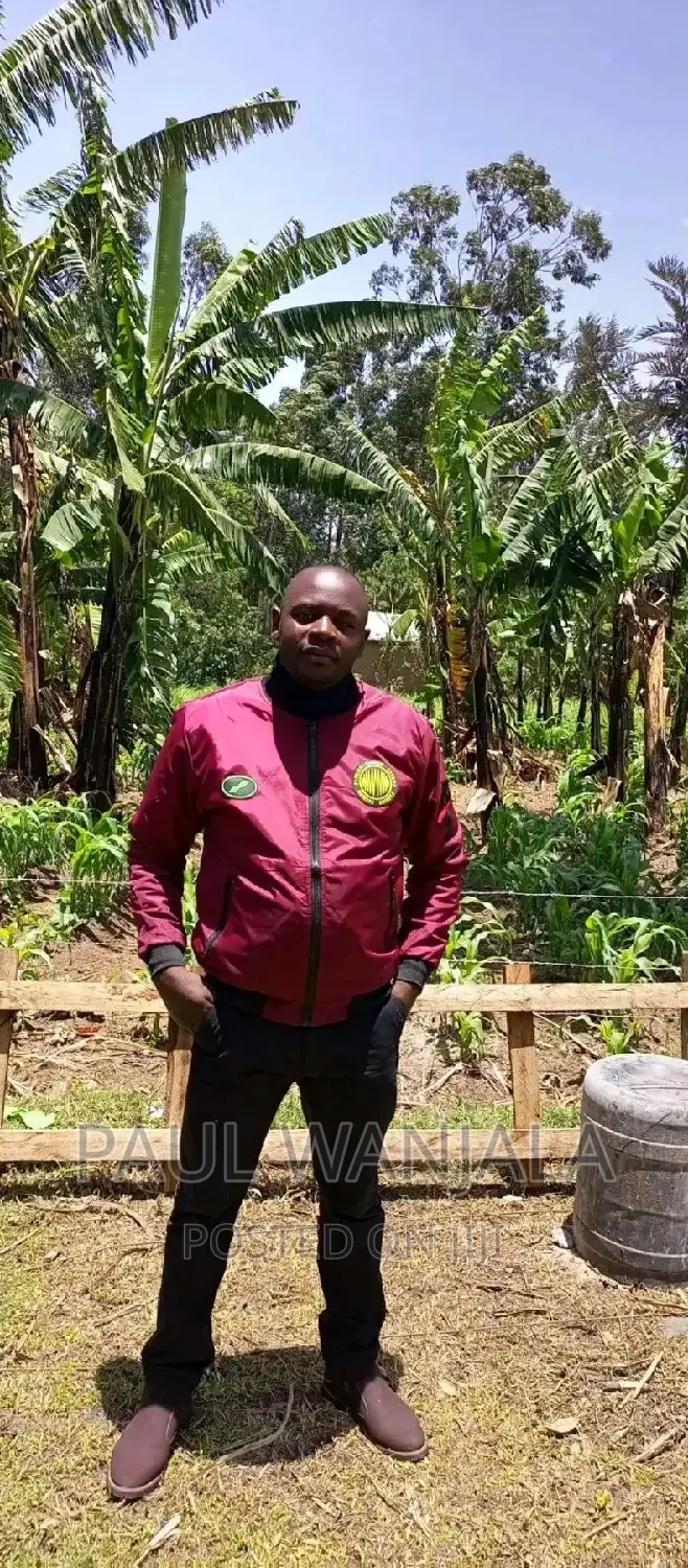 Farm Manager/Agronomist