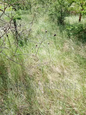 Machakos Muvuti 1.075 Acres