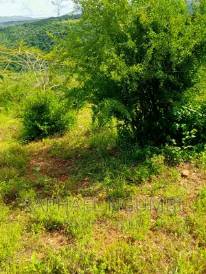 Machakos Muvuti 1.075 Acres