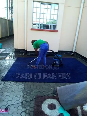 Best Company in Carpets Cleaning