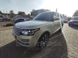 Professional Car Tinting