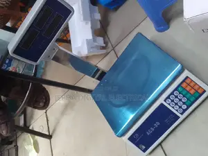 Computing Scale Digital