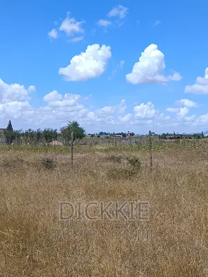 Prime Plot For Sale 50*100 Kantafu. Ready Title Direct Owner