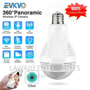 Nanny Camera Bulb