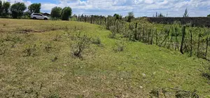 Prime 1⁄4 Plot for Sale in Kapseret Eldoret