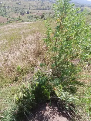 5 Acres of Land in Kiambogo, Subukia