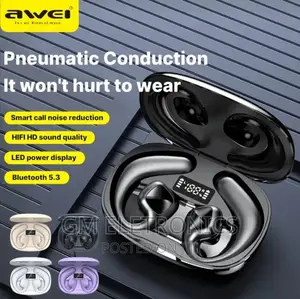 Awei T67 Earhook Earbuds.