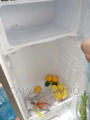 Fridge Repairs Service