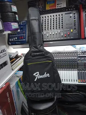 Acoustic Guitar Bag Fender,