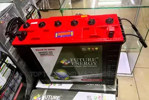 Future Energy 12V 200ah Deep Cycle Tall Tubular Battery