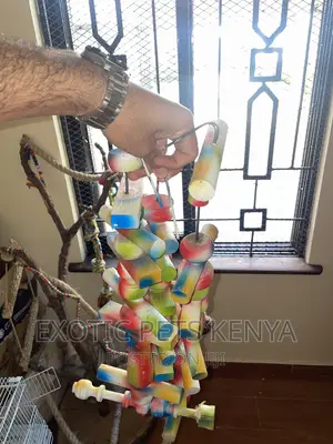 Parrot Toys