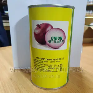 F1 Hybrid Onion Neptune Seeds