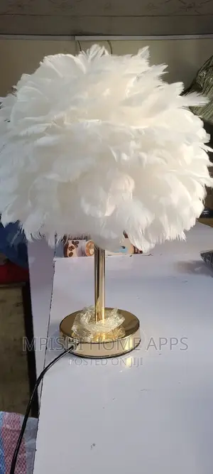 LED Modern Feather Light