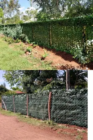 Privacy Fence Privacy Fence Privacy Fence