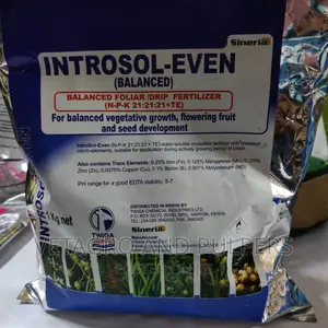Introsol Even