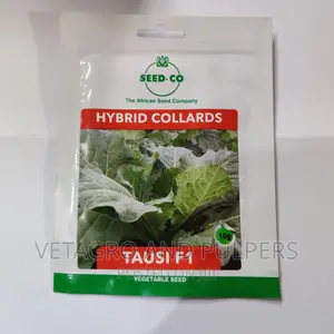 Hybrid Collards Tausi F1 Seeds