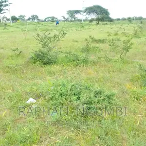 90 Acres Lukenya Daystar