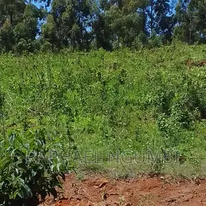 10 Acres at Mua Kitanga.