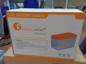 100 Ah Felicity Gel Solar Battery