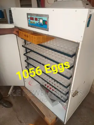 Affordable 1056 Automatic Egg Incubator