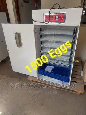 Bet Brand 1500automatic Egg Incubator