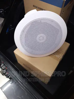 Bluetooth Ceiling Speaker