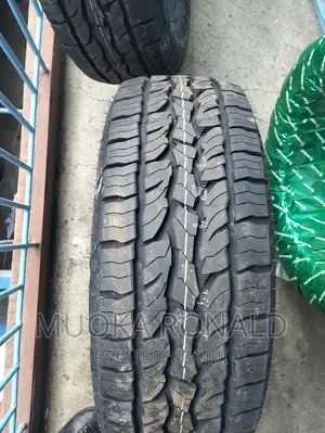 265/65r17 Dunlop Tyre (A/T5